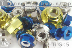 Titanium | Flanged Nyloc Hex Nuts | ~DIN 6926 | Gr.5