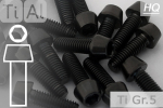 Titanium Bolts | Black | M6 | DIN 912 | Gr.5 | Tapered Head | Allen Key M6x60