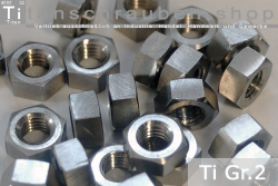 Titanium | Hex Nuts | DIN 934 | Gr.2 M1.6 Silver