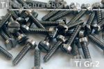 M2 Titanium Bolts Silver / Plain DIN 84 / ISO 1207 Grade...