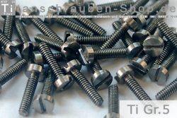 Titanium Bolts | Silver | M2 | DIN 84 | Gr.5 | Cap Head | Slotted M2x6