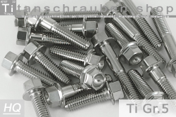 Titanschrauben | Silber | M5 | ~DIN 6921 | Gr.5 | Sechskant mit Flansch M5x25