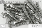 Titanium Bolts | Silver | M10x1.25 | ~DIN 6921 | Gr.5 | Hex Flange