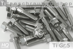 Titanium Bolts | Silver | M10x1.25 | ~DIN 6921 | Gr.5 | Hex Flange M10x1.25x40