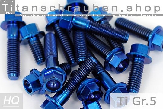 Titanium Bolts | Hexagon Flange | Blue | Gr. 5 | M10x1.25 | ~DIN