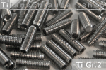 Titanium | Socket Set Screws | Silver | M2 | DIN 913 |...