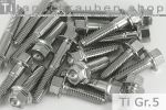 Titanschrauben | Silber | M8 | ~DIN 6921 | Gr.5 |...