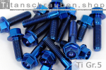 Titanium Bolts | Blue | M6 | ~DIN 6921 | Gr.5 | Hex Flange