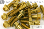 Titanschrauben | Gold | M6 | ~DIN 6921 | Gr.5 | Sechskant...