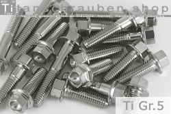 Titanschrauben | Silber | M5 | ~DIN 6921 | Gr.5 | Sechskant mit Flansch M5x10