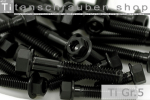 M5 Titanium Bolts Black ~DIN 6921 / ~EN 1665 Grade 5...