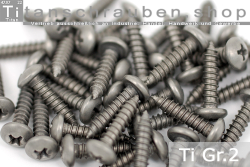 Titanium Screws| Silver | ST2.9 | DIN 7981 | Gr.2 | Pan Head | Cross-Recessed