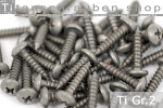 Titanium Screws| Silver | ST2.9 | DIN 7981 | Gr.2 | Pan...