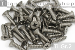 Titanium Screws| Silver | ST4.8 | DIN 7982 | Gr.2 | Countersunk | Cross-Recessed ST4.8x16mm