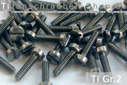 Titanschrauben | Silber | M2.5 | DIN 84 | Gr.2 | Zylinderkopf | Schlitz M2.5x4