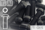 Titanium Bolts | Black | M6 | ISO 7380 | Gr.5 | Button Head | Allen Key M6x20