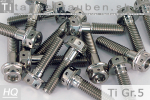Titanium Bolts | Silver | M6 | ~DIN 6921 | Gr.5 | Flanged Hex Head + Allen Key