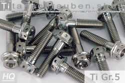 Titanium Bolts | Silver | M6 | ~DIN 6921 | Gr.5 | Flanged Hex Head + Allen Key M6x35