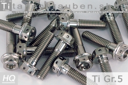 Titanium Bolts | Silver | M10x1.25 | ~DIN 6921 | Gr.5 | Flanged Hex Head + Allen Key M10x1.25x75