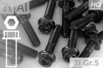 Titanium Bolts | Black | M5 | ~DIN 6921 | Gr.5 | Flanged Hex Head + Allen Key M5x20