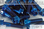 Titanium Bolts | Blue | M10x1.25 | ~DIN 6921 | Gr.5 | Flanged Hex Head + Allen Key M10x1.25x65