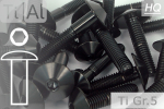 Titanium Bolts | Black | M8 | ~ISO 7380 | Gr.5 | Button Head M8x25