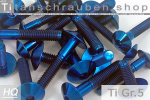Titanschrauben | Blau | M4 | ~ISO 7380  | Gr.5 | Linsenkopf