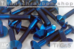 Titanium Bolts | Blue| M6 | ~ISO 7380 | Gr.5 | Button Head