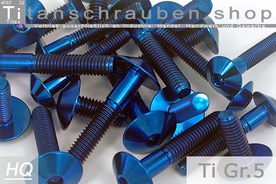Linsenkopf blau 1x Titanschraube M8 x 35 mm ISO 7380 Innensechskant Gr5 